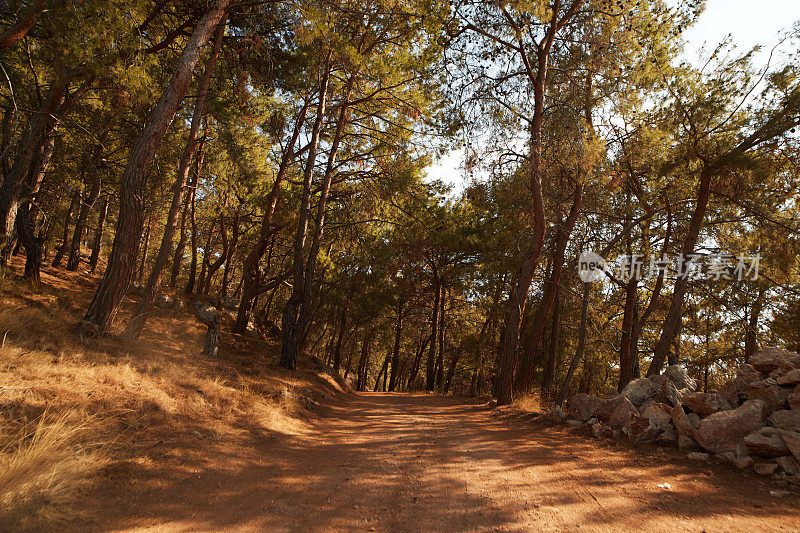 Faralya Lycian Way, Fethiye，土耳其